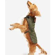 Dog Bone Quilted Dog Coat