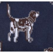 Pointer Dog Socks Gift Box