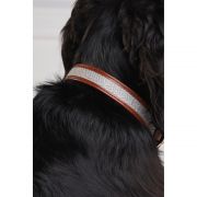 HC Classic Dog Collar - Chestnut & Tweed