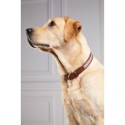 HC Classic Dog Collar - Chestnut & Tweed