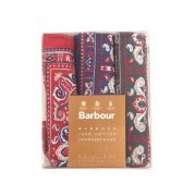 Men's Paisley Handkerchiefs