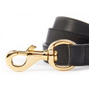 Classic Dog Lead - Black