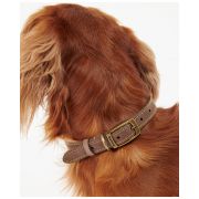 Leather Dog Collar