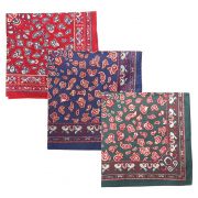 Men's Paisley Handkerchiefs