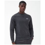 Essential Crew Neck Sweatshirt