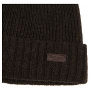 Carlton Beanie