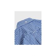 Regular Broadcloth Gingham Shirt