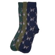 Pointer Dog Socks Gift Box