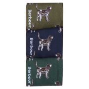 Pointer Dog Socks Gift Box