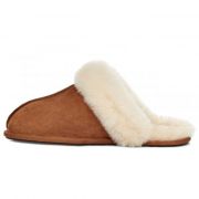 Scuffette II Slipper