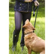 Classic Dog Lead - Black